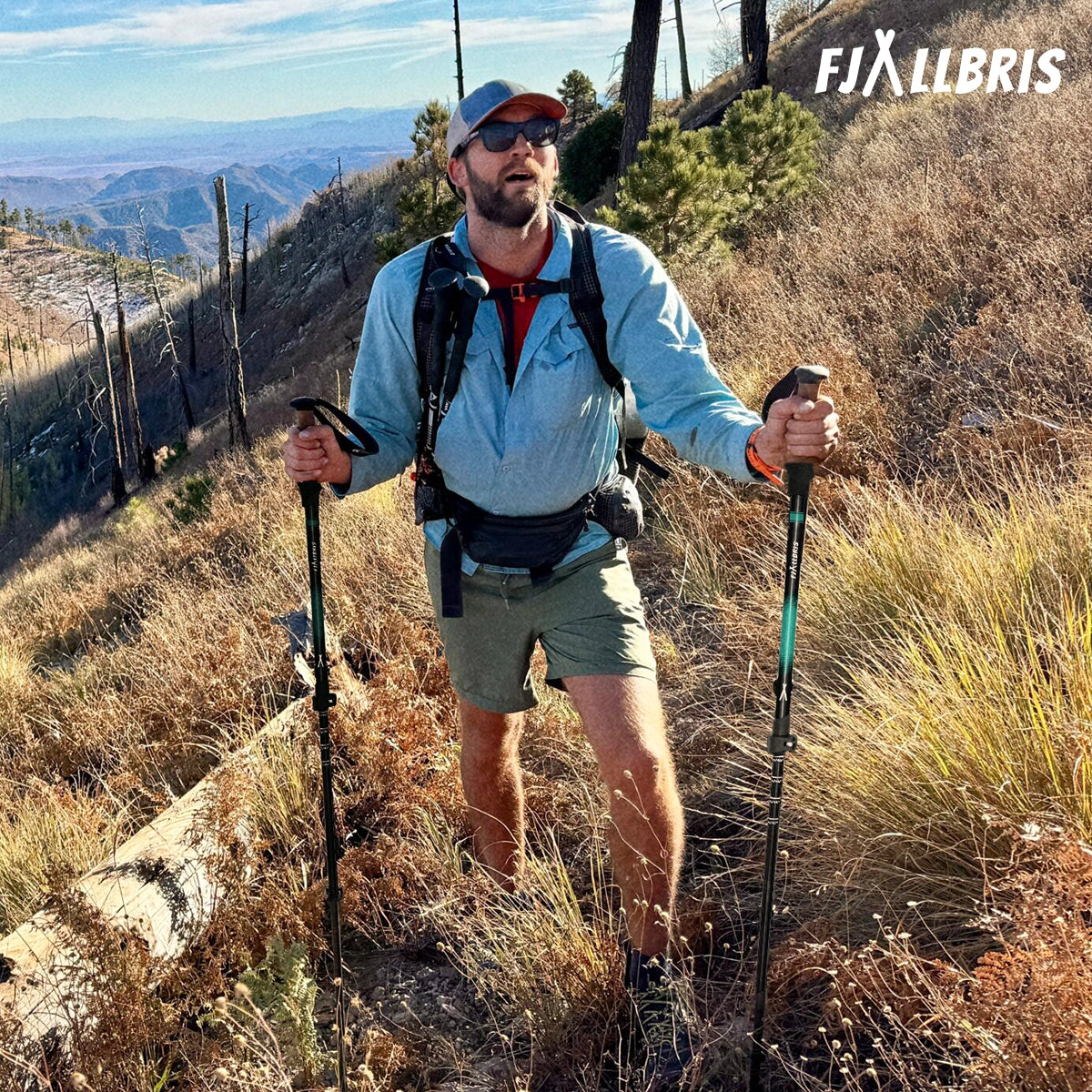 Ultraleichte Wanderstöcke